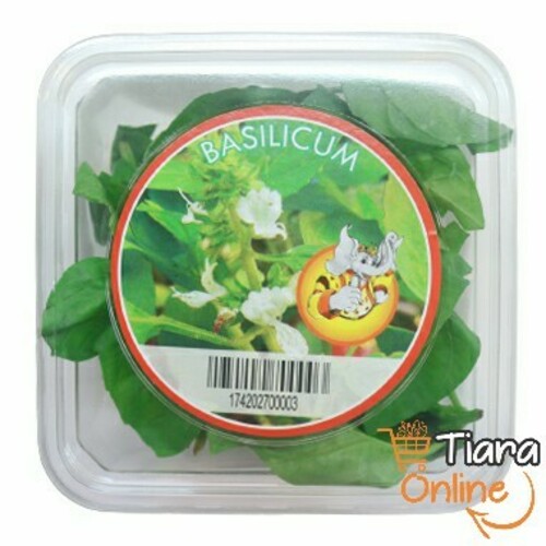 TIARA GO - DAUN BASILICUM : 30 GR