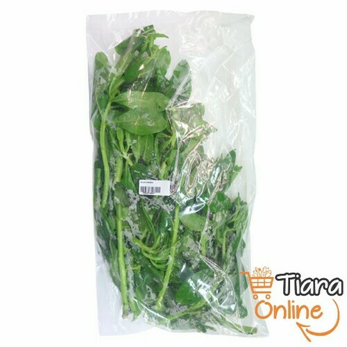 TIARA GO - DAUN GINSENG