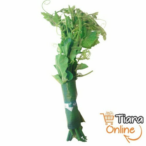 TIARA GO - DAUN LABU / DAUN WALUH