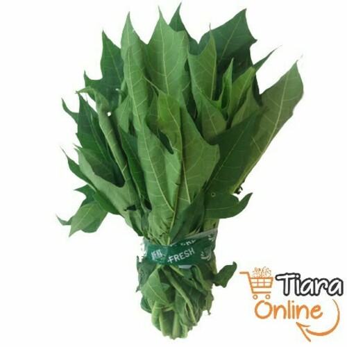 TIARA GO - DAUN PEPAYA