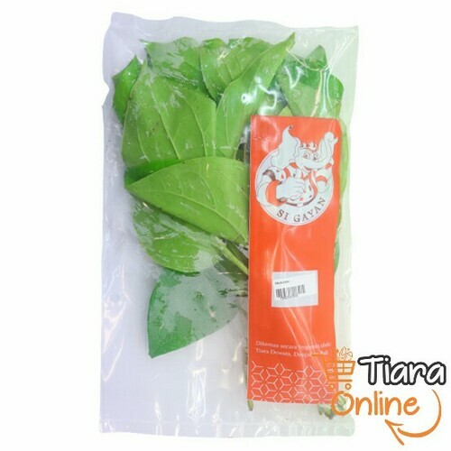 TIARA GO - DAUN SIRIH