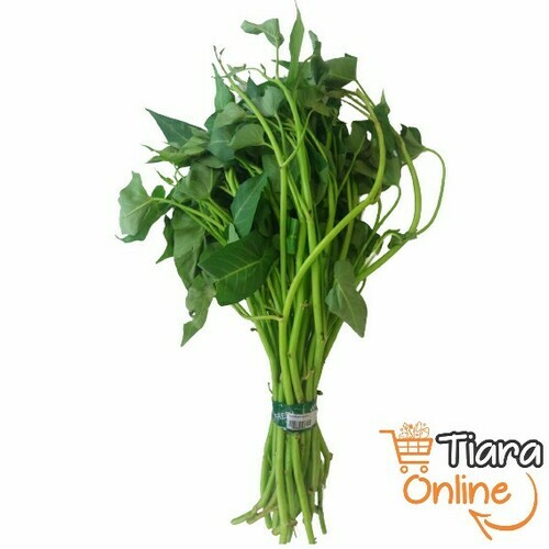 TIARA GO - KANGKUNG PLECING